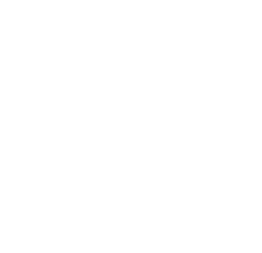 AFVD 1